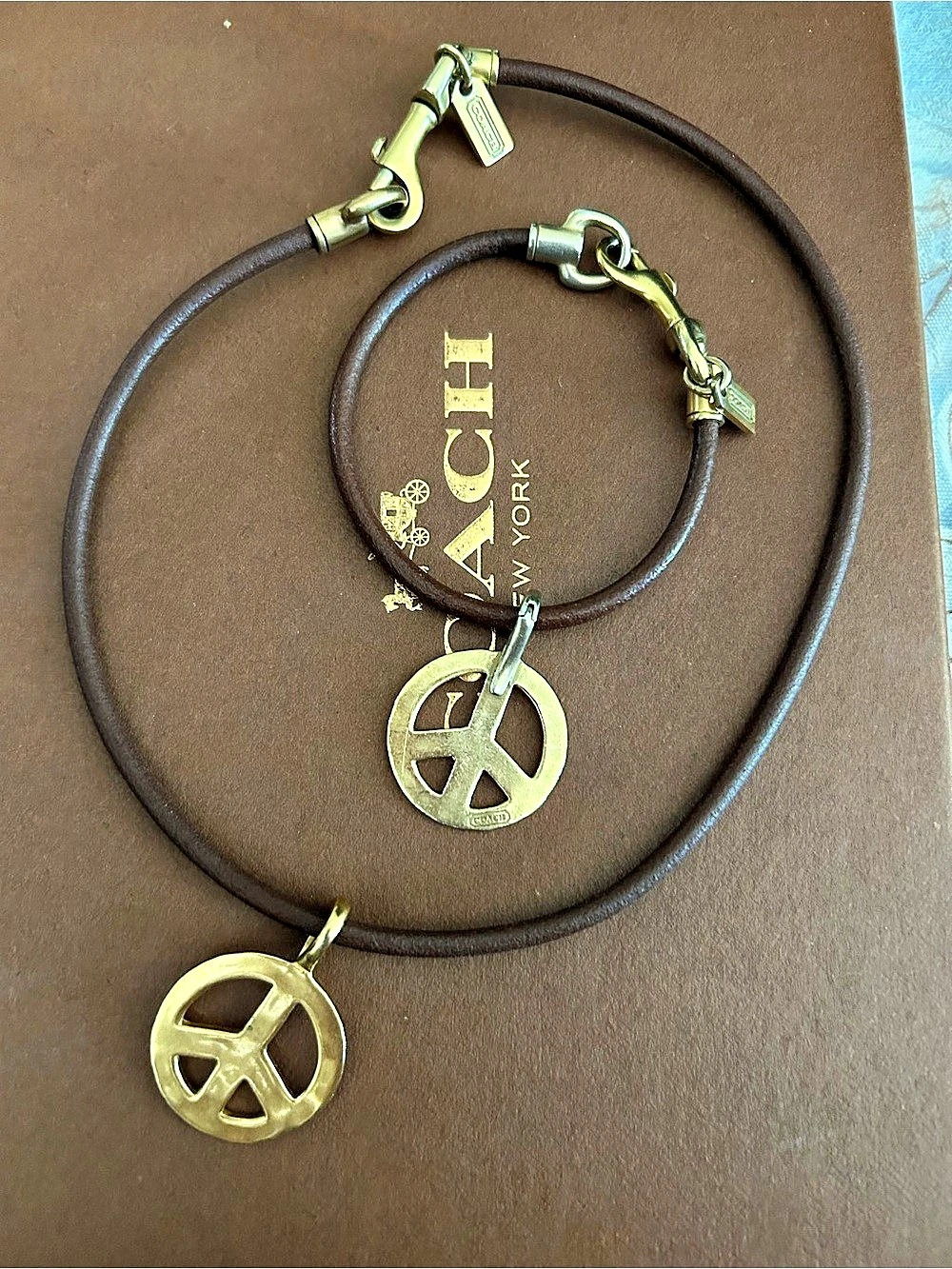 Coach Brass Pendant Necklace Set in Leather